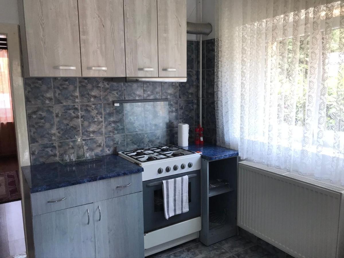 Apartament Andreea Târgu-Mureş Extérieur photo